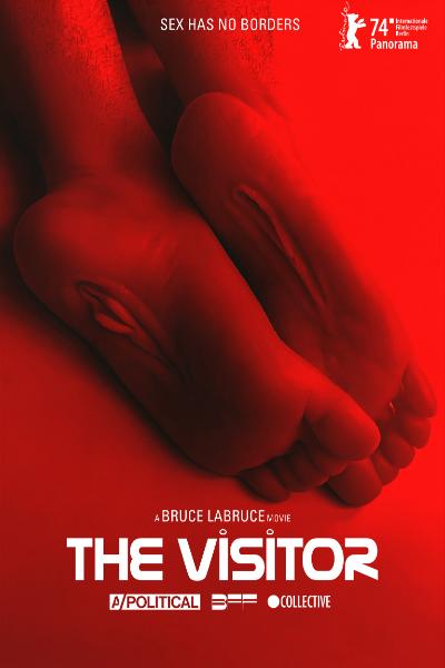 The Visitor Poster